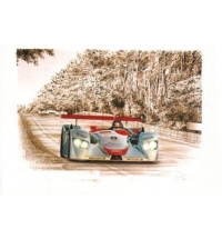 Postal - Audi R8 #8 Winner Le Mans 2000