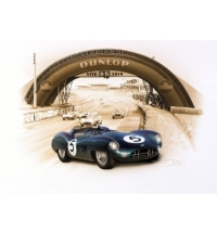 Aston Martin DBR1 #5 Winner Le Mans 1959 (30x40cm)