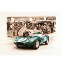 Jaguar D-Type #3 Winner Le Mans 1957 (30x40cm)