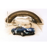 Aston Martin DBR1 Winner 1959 (50x65cm)
